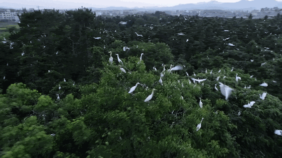 2020������� | �С�������ߣ�������ʳ�Ż�ȯ��������Ʊͳͳ�����