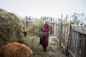 蒙古国举国还债，民众排队来中国购物，经济为何会落得如此境地？图片