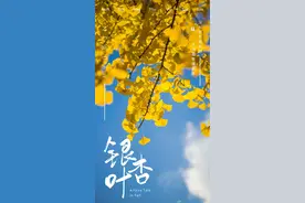 许昌这六处金色童话世界，带你感受专属秋天的浪漫景色图片