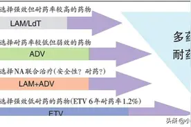 乙肝恩替卡韦发展史和早期应用疱疹感染图片