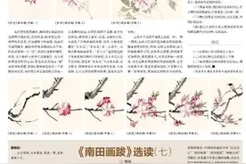 周午生：花卉没骨的学习（下）图片