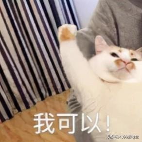 你是怎么玩恐怖游戏的？三句话带你认识恐怖游戏“正确”玩法