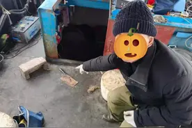 钓到这些鱼不放有坐牢风险，每年都有人被抓，附最新名录图片