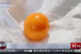 泰国司机从海螺里吃到的那颗175万的龙珠，究竟是何方宝物？图片