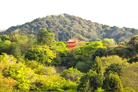 京都也被称为园林城市，在日本堪称杰作的园林图片
