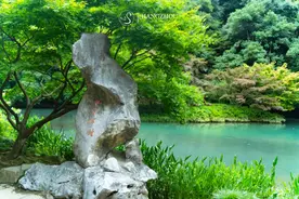 探秘龙井宝藏茶园！罕见7000㎡豪宅，私享西湖边避世秘境图片