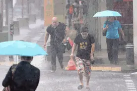雨伞界“华为”火了，采用今年火爆的莫兰迪色，专门对付暴风雨图片