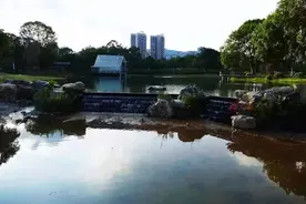 @全体深圳小朋友，请查收你的专属“六一”祝福信！图片