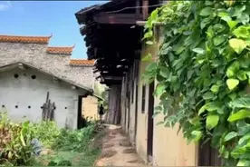 江西赣州农村100多户的村子，留下一片破乱的旧房屋，空无一人图片