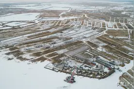 雪后的大河北就来雄安新区白洋淀，看她独特的宁静之美图片