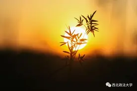 2020追光日记 | 高考启程，祝少年的你逐梦远航！图片