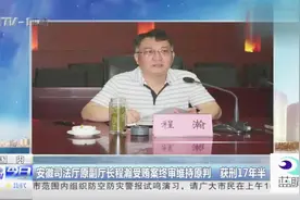安徽司法厅原副厅长程瀚受贿案终审维持原判，获刑17年半视频封面
