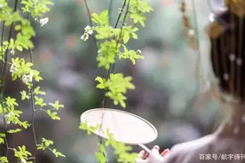 名家名作：等你，在雨中图片