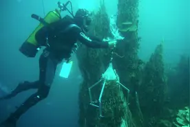 当你潜入一万米深处的海底能看见什么？喝一口那的海水会怎么样？图片