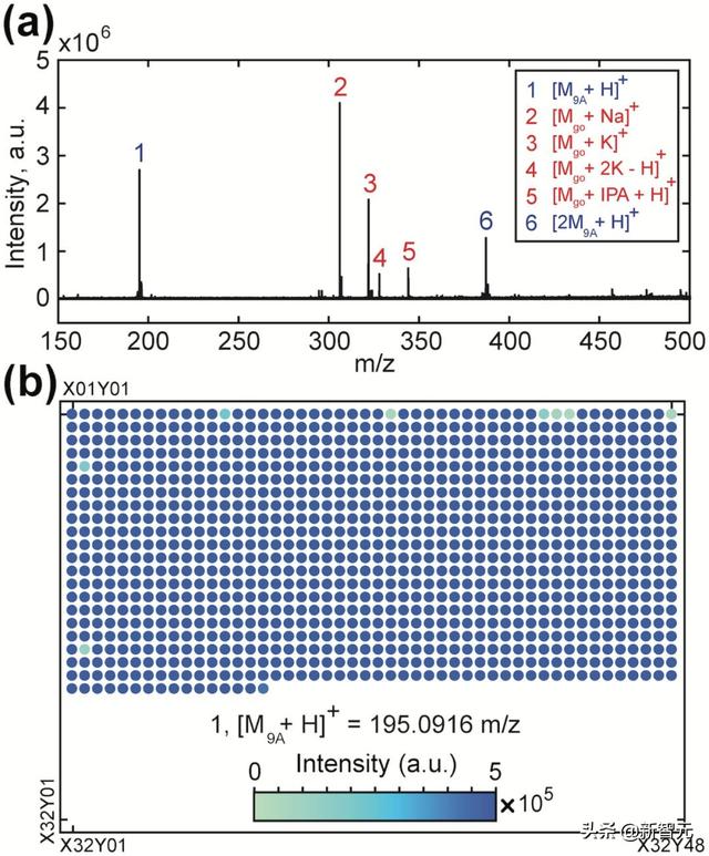 比DNA存储更可怕！你的照片居然可以存储在氨基酸分子溶液里