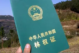 农村的自留山与责任山有什么区别？图片