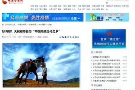 凉州攻鼓动地来 金戈铁马唱大风图片