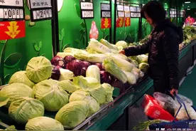 “向前葱”、“蒜你狠”、“姜你军”，以后还会出现吗？图片