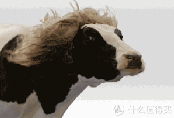 法国塑身体乳哪个品牌好