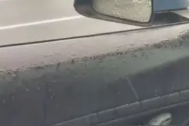 车主再次被坑？曝特斯拉暴雨天自动开窗，网友：开车记得穿雨衣图片