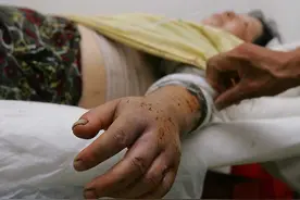 泡在酒里一年的毒蛇，打开后却能“复活”咬人，蛇为何还没死？图片