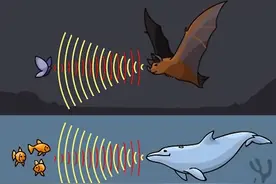 杀人于无形，杀人不靠火不靠电，仅用声音就可以杀死或干扰目标图片
