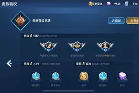 王者荣耀：学生最想隐藏的功能，有没有买皮肤，父母一眼就能看穿图片