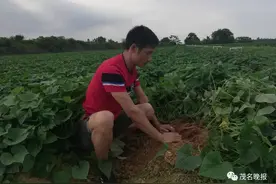 吸毒10年悬崖勒马，3000元摆摊起家，4年成化州红薯大王……这位哥的经历很励志！图片