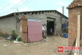 快自查！你买的这些“大牌”洗衣液可能是假的，效果差还危害身体图片