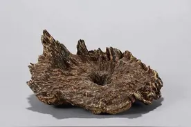 海南沉香之辨图片