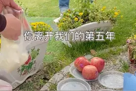 乔任梁父母清明为儿子扫墓，乔妈发抖音：离开的第五年，妈妈想你图片