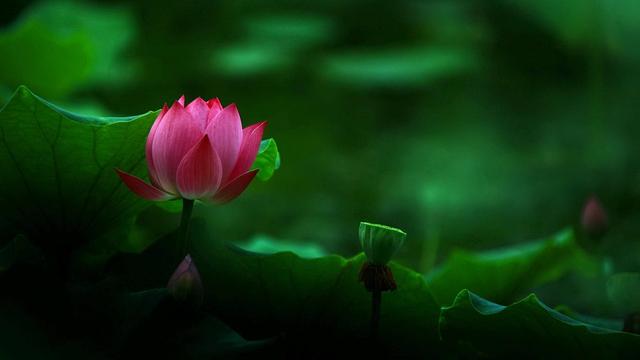 易经：一个人，懂得应变，凡事都有出路