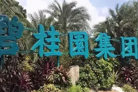 碧桂园泉州项目延迟交房近半年 区住建局：“未经市自然资源和规划局验收”图片