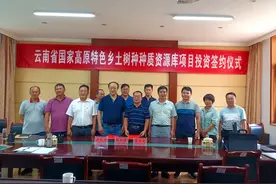 占地约450亩，总投资8000万元！省国家高原特色乡土树种种质资源库项目落地嵩明！！图片