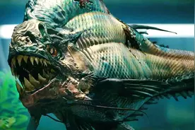 深海之下无奇不有，这些恐怖海底生物，你能知道几个？图片