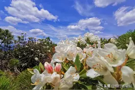 昆明附近户外活动爱好者最喜欢的地方之一黑风山图片