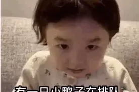黄夏温道歉套路表情包|有一只鸭子在排队图片
