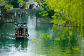 春风又绿江南岸！乌镇景区独家踏青攻略来咯图片