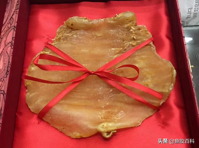 鱼胶 燕窝 鱼胶燕窝一起炖的做法