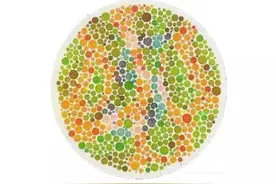 全套标准色盲、色弱测试图(体检、考驾照专用)图片