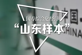 国寿综合化经营的“山东样本”：“出门一把抓，回来再分家”图片