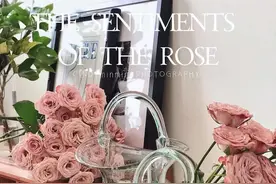 气吹提篮造型玻璃花瓶，小仙女不可错过的一款花瓶图片