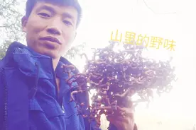 拐枣：难以忘怀的乡村味道，农村山里的野味，外地人是无法体会到视频封面