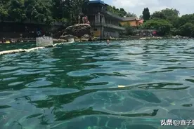 南宁武鸣八景之一灵水湖，曾游泳避暑胜地，现禁止游泳到底为何？图片