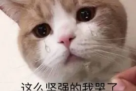 美术生最吃香的专业，你了解吗？图片