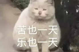 天呐！这样上厕所好舒服，我以前怎么不知道图片