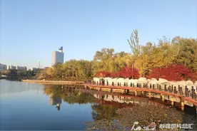 乌鲁木齐市公园赏秋地图新鲜出炉！走，重阳节邀爸妈赏秋去图片