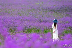 一个从小就多余，长大后还要被父母压榨的女儿图片