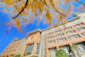 “真爱粉”大挑战！图片