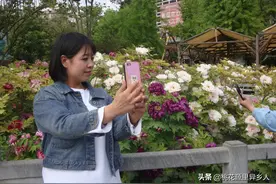 带四个娃娃去洛阳王城公园赏牡丹，看动物，闹得人仰马翻！图片